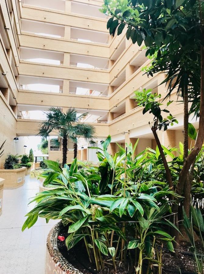 Apartamentos Boutique Valparaiso أوروبيسا ذيل مار المظهر الخارجي الصورة